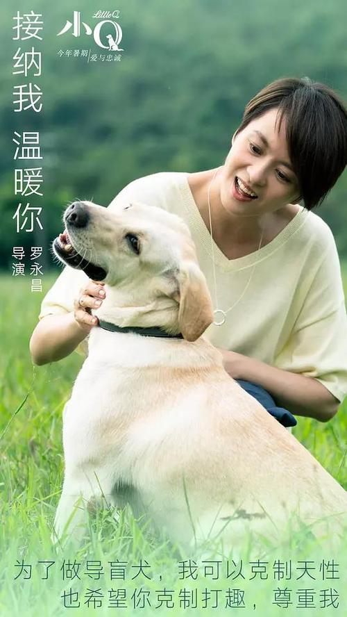 学信网查学位证查不到